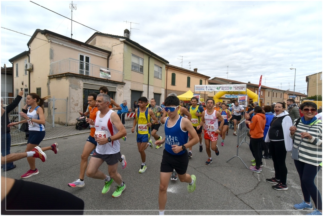 San Pancrazio: Trofeo dell'Uva - 13 ottobre 2024